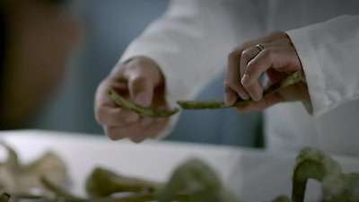 Naming the Dead Season 1 Episode 5