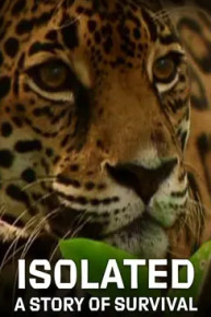 Isolated: A Story of Survival