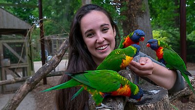 Animal Park Season 24 Episode 1