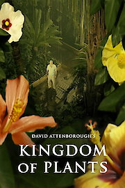 Kingdom of Plants