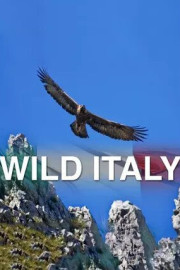Wild Italy: Top Predators