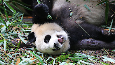 60 Minutes Season 52 Episode 45