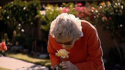 60 Minutes Season 53 Episode 38