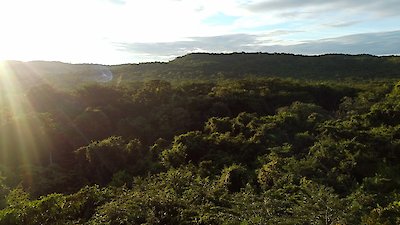 60 Minutes Season 55 Episode 15