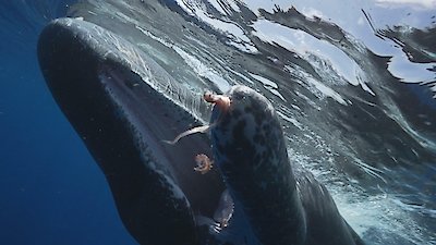 60 Minutes Season 56 Episode 15