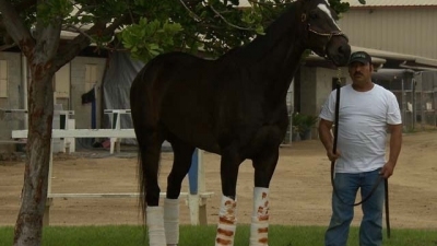 60 Minutes Season 43 Episode 9