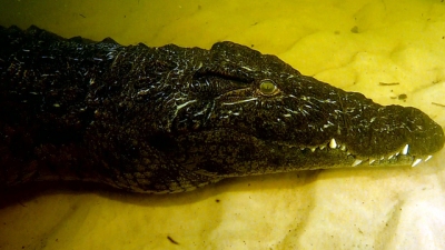 60 Minutes Season 45 Episode 46