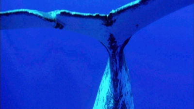 60 Minutes Season 46 Episode 4