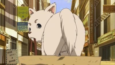 Gintama Season 6 Episode 265