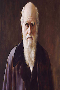 The Good, The Bad & The Baby