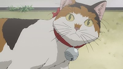 Mokke Season 1 Episode 22