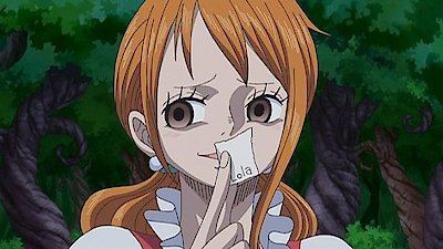 One Piece Season 19 Episode 798