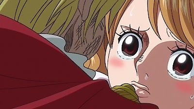 One Piece Season 19 Episode 810