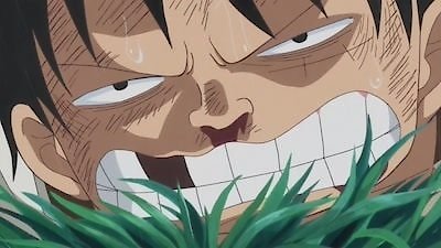 One Piece Season 19 Episode 811
