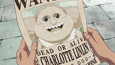 One Piece Season 19 Episode 838