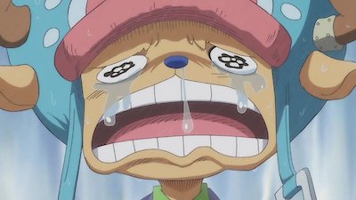 One Piece Season 19 Episode 851