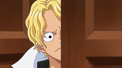 One Piece Season 19 Episode 888
