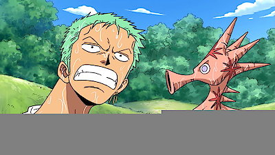 One Piece Season 4 Episode 224