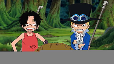 One Piece Season 8 Episode 494