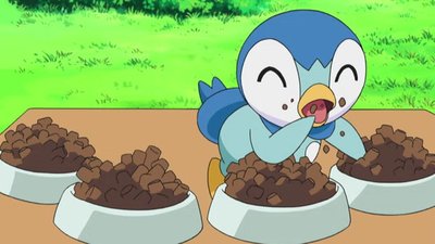 Pokemon Season 13 Episode 16