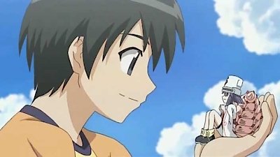 Seto no Hanayome Season 1 Episode 3