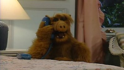 Alf Season 1 Episode 23