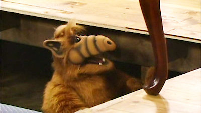 Alf Season 2 Episode 22