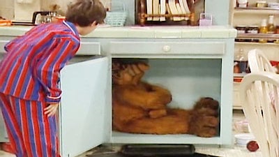 Alf Season 3 Episode 25