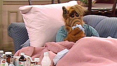 Alf Season 4 Episode 12