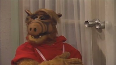 Alf Season 4 Episode 19