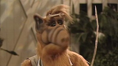 Alf Season 4 Episode 22