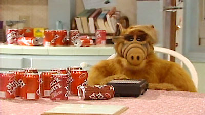 Alf Season 3 Episode 17