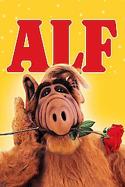 Alf