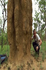 The Fairytale Falls Apart