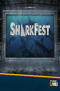 The Summer Snow Day / Sunny the Snowman!