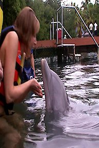 Tarzan and the Lion Girl