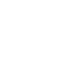 Bullet